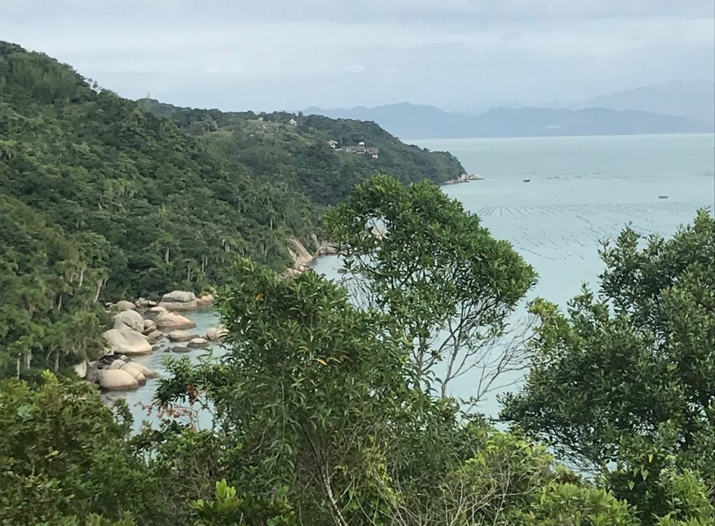 vista da trilha da tainha